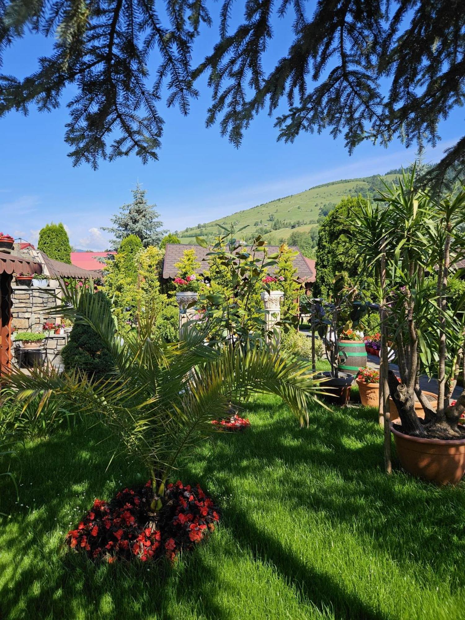 Pensiunea Orizont Farcasa Zewnętrze zdjęcie